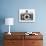 Retro Camera I-Chris Dunker-Collectable Print displayed on a wall