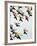 Retro Flight-Sydney Edmunds-Framed Giclee Print