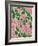 Retro Flower Print X-Dariia Khotenko-Framed Photographic Print