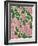 Retro Flower Print X-Dariia Khotenko-Framed Photographic Print