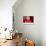 Retro Lifestyle XXXVI-Fernando Palma-Giclee Print displayed on a wall