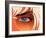 Retro Lifestyle XXXVII-Fernando Palma-Framed Giclee Print