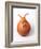 Retro Orange Spacehopper Children's Toy-null-Framed Photographic Print