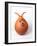 Retro Orange Spacehopper Children's Toy-null-Framed Photographic Print