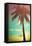 Retro Styled Hawaiian Palm Tree-Mr Doomits-Framed Premier Image Canvas