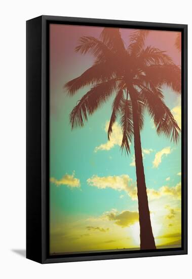 Retro Styled Hawaiian Palm Tree-Mr Doomits-Framed Premier Image Canvas