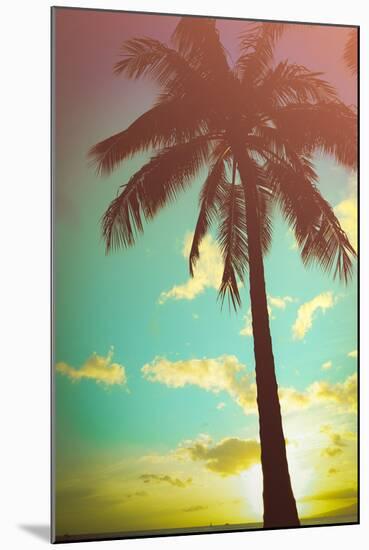 Retro Styled Hawaiian Palm Tree-Mr Doomits-Mounted Photographic Print