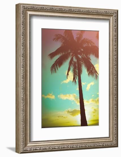 Retro Styled Hawaiian Palm Tree-Mr Doomits-Framed Photographic Print