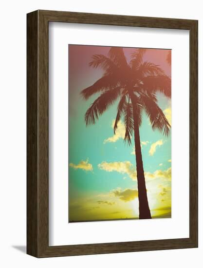 Retro Styled Hawaiian Palm Tree-Mr Doomits-Framed Photographic Print