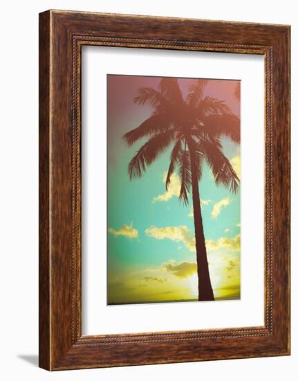 Retro Styled Hawaiian Palm Tree-Mr Doomits-Framed Photographic Print