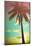 Retro Styled Hawaiian Palm Tree-Mr Doomits-Mounted Photographic Print