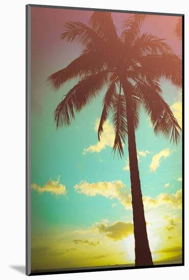 Retro Styled Hawaiian Palm Tree-Mr Doomits-Mounted Photographic Print