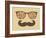 Retro Sunglasses With Reflection For Hipster-panova-Framed Art Print