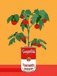Campbells Soup Tomato Plant Retro Illustration-Retrodrome-Photographic Print
