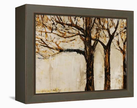 Return Of Wonder-Jodi Maas-Framed Premier Image Canvas