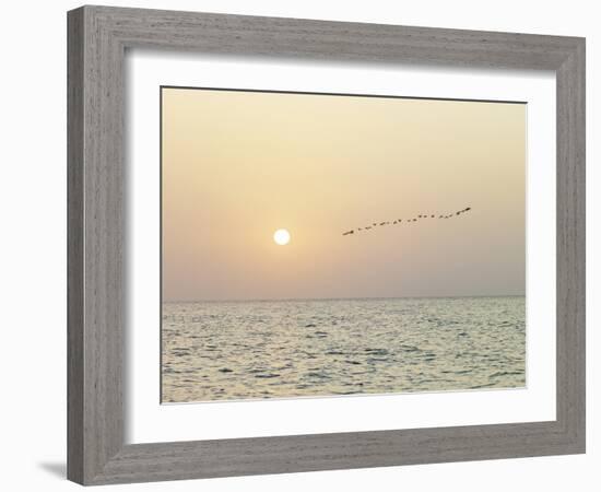 Returning Home-Assaf Frank-Framed Giclee Print