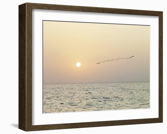 Returning Home-Assaf Frank-Framed Giclee Print