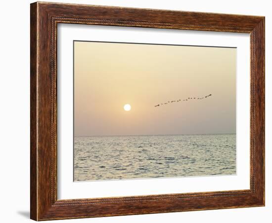 Returning Home-Assaf Frank-Framed Giclee Print