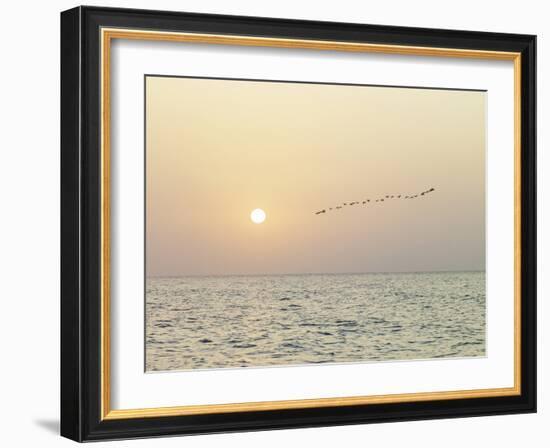 Returning Home-Assaf Frank-Framed Giclee Print