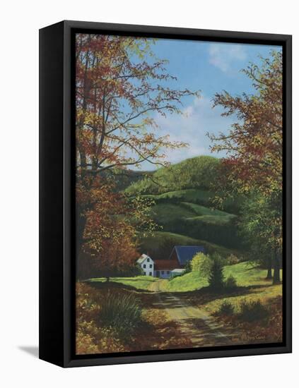 Returning Home-Lene Alston Casey-Framed Stretched Canvas