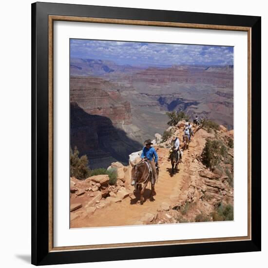 Returning on Horseback, Grand Canyon, UNESCO World Heritage Site, Arizona, USA-Tony Gervis-Framed Photographic Print