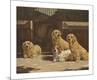 Premium Giclee Print