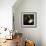 Reux-Trevor Alyn-Framed Photographic Print displayed on a wall