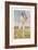 Rev Frank Hay Gillingham English Cricketer in Action-Spy (Leslie M. Ward)-Framed Art Print