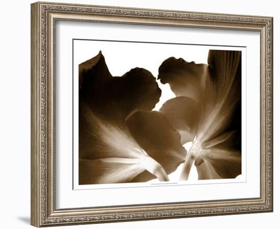 Reveal on White I-null-Framed Art Print