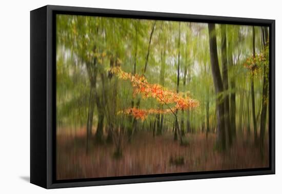 Revelation-Viviane Fedieu Daniel-Framed Premier Image Canvas