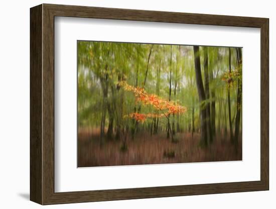 Revelation-Viviane Fedieu Daniel-Framed Photographic Print