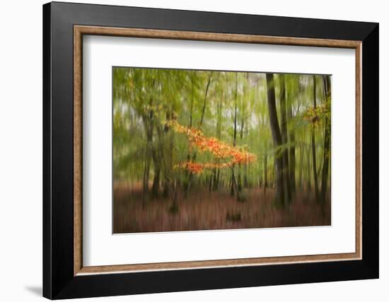 Revelation-Viviane Fedieu Daniel-Framed Photographic Print