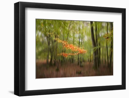 Revelation-Viviane Fedieu Daniel-Framed Photographic Print