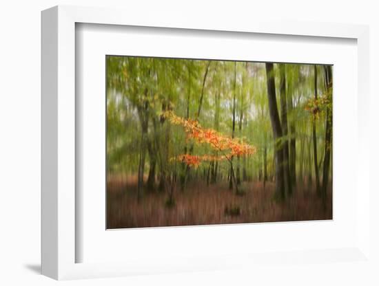 Revelation-Viviane Fedieu Daniel-Framed Photographic Print