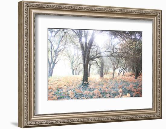 Révélation-Viviane Fedieu Daniel-Framed Photographic Print