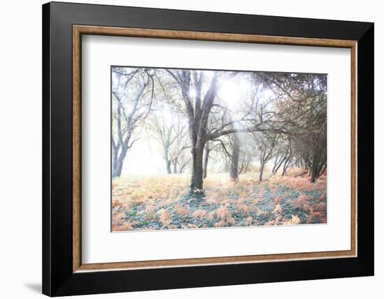 Révélation-Viviane Fedieu Daniel-Framed Photographic Print