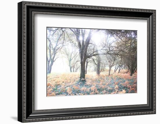 Révélation-Viviane Fedieu Daniel-Framed Photographic Print