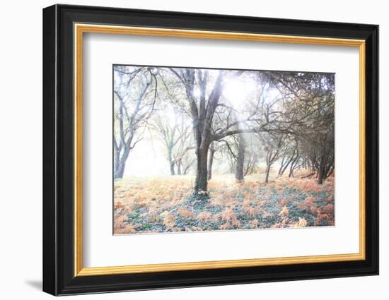 Révélation-Viviane Fedieu Daniel-Framed Photographic Print