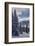 Revelstoke British Columbia, Canada, Snow covered evergreen trees-Howie Garber-Framed Photographic Print