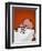 Revenge Is a Dish (Pig)-Luke Chueh-Framed Premium Giclee Print