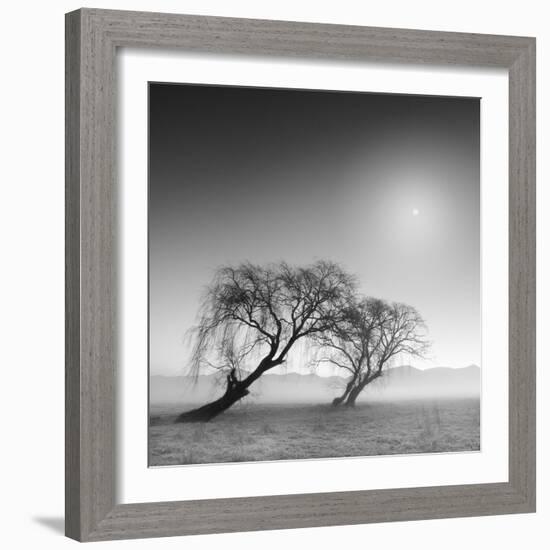 Reverencia-Moises Levy-Framed Photographic Print