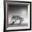 Reverencia-Moises Levy-Framed Photographic Print