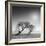 Reverencia-Moises Levy-Framed Photographic Print