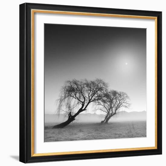 Reverencia-Moises Levy-Framed Photographic Print