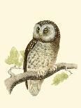 Morris Tengmalm's Owl-Reverend Francis O. Morris-Framed Art Print