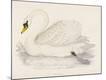 Premium Giclee Print