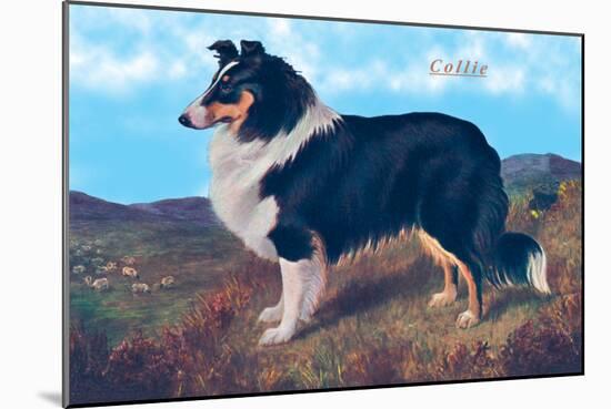 Reverend Hamilton's Collie-null-Mounted Art Print