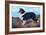 Reverend Hamilton's Collie-null-Framed Art Print