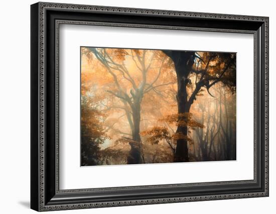 Reverse and Forward-Ildiko Neer-Framed Photographic Print