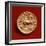 Reverse of a Stater of Philip II of Macedonia Depicting a Charioteer, 356-336 BC-null-Framed Giclee Print